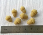 acorns
