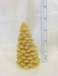 fir tree