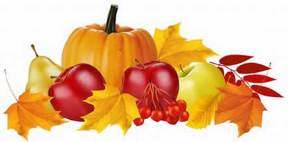 Autumn clipart bucket, Autumn bucket Transparent FREE for download on ...