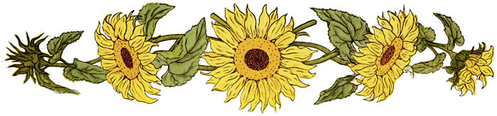 Image result for sunflower border clip art